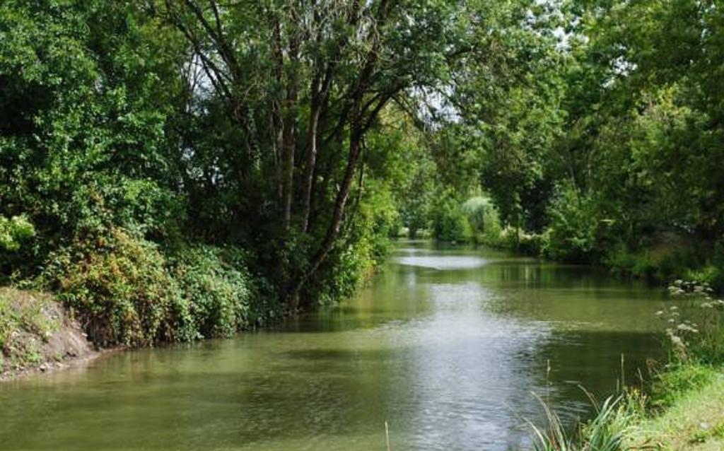 La Poussardiere Saint-Martin-sous-Mouzeuil Exteriör bild